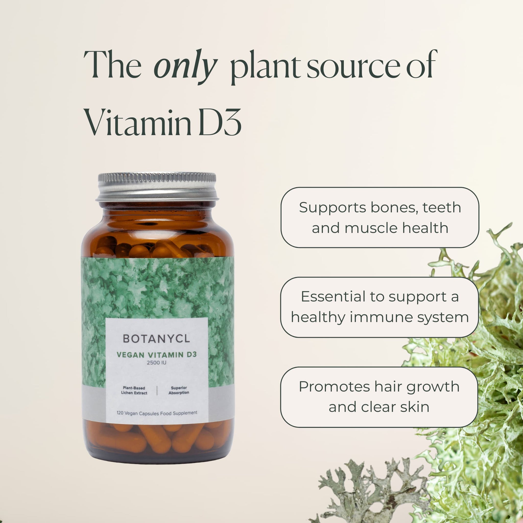Vegan Vitamin D3 - 2 Month Supply
