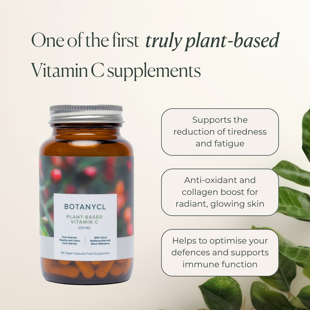 Vitamin C Skincare | Vitamin C Capsules – BOTANYCL