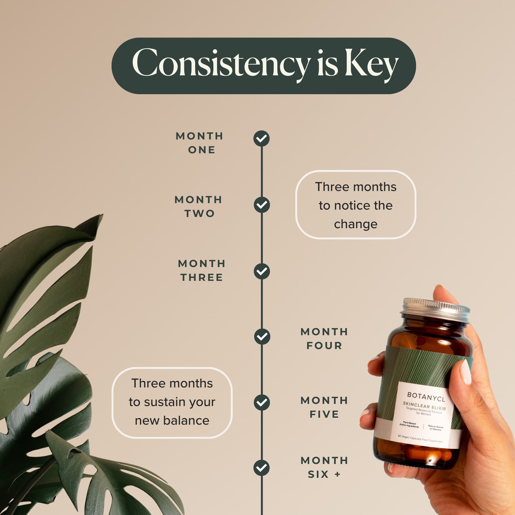 SkinClear Elixir