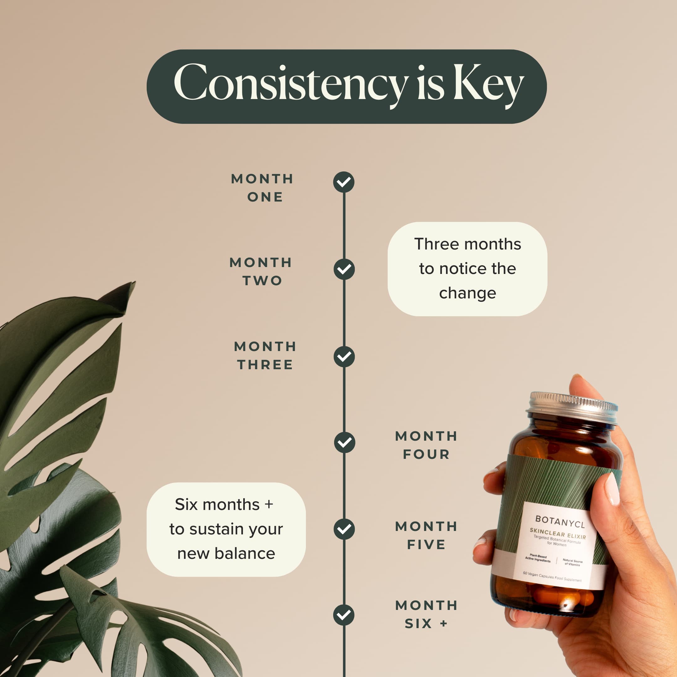 SkinClear Elixir Timeline of results
